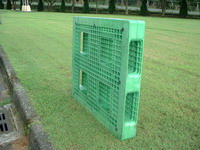 二手塑膠棧板展示 1